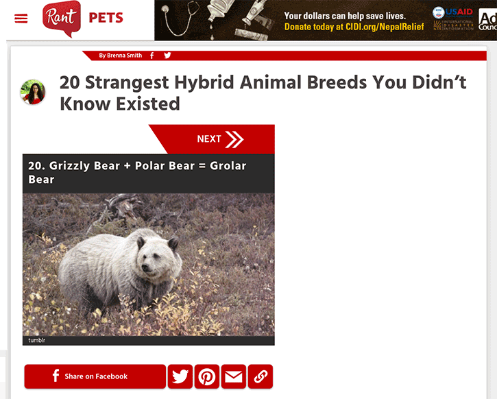 hybrid animal breeds you never knew existed